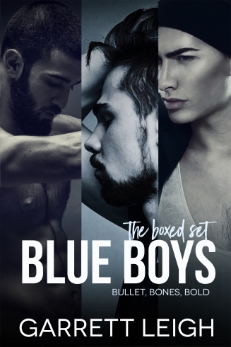 Copy of BlueBoys_boxed set_ecover